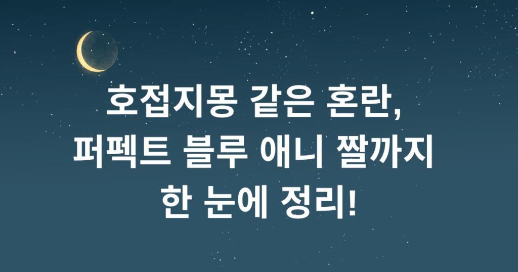 호접지몽 같은 혼란, 퍼펙트 블루 애니 짤까지 한 눈에 정리!